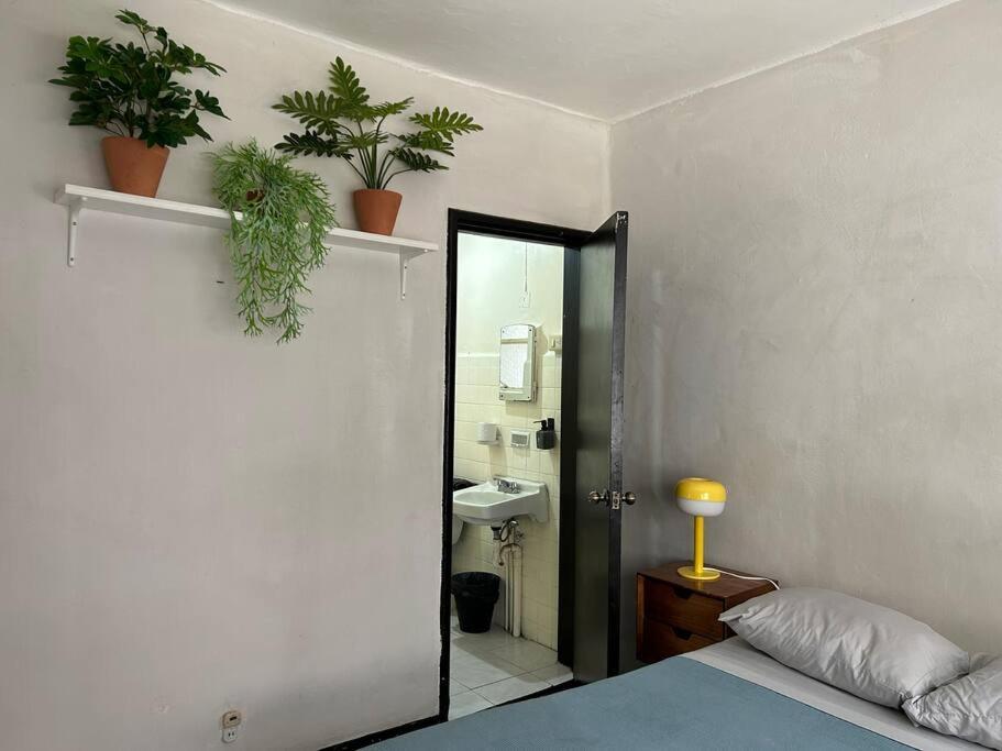 Cozy Roma Norte, Heart Of The City Apartment Mexico City Exterior photo